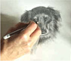 Carol Rowlands drawing a dog's face